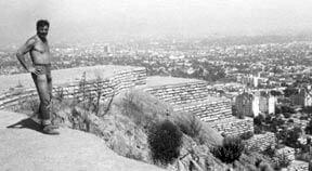 buck-overlooks-hollywood image